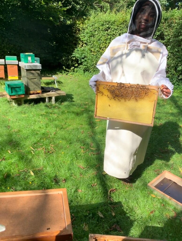 c67ebdf1-d962-4982-a07d-da2bc56f70a2